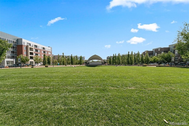 7700 E 29th Ave Unit 404, Denver, CO 80238 - photo 2