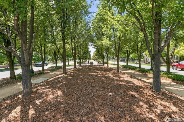 7700 E 29th Ave Unit 404, Denver, CO 80238 - photo 9