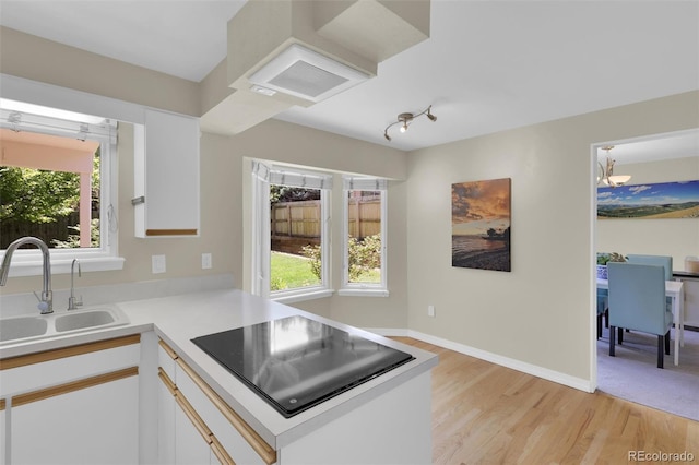 7504 E Jefferson Dr, Denver, CO 80237 - kitchen featuring a sink, black electric cooktop, healthy amount of natural light, and light countertops