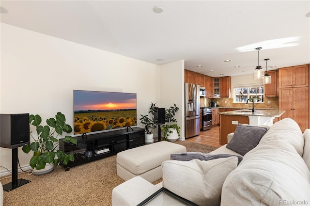 living room with sink