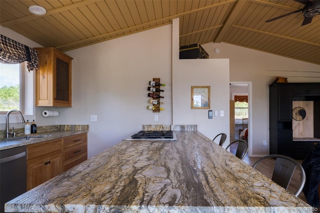 1040 Sheep Ridge Rd, Fairplay, CO 80440 - kitchen with stainless steel appliances, a ceiling fan, wooden ceiling, light stone countertops, and wood finished floors