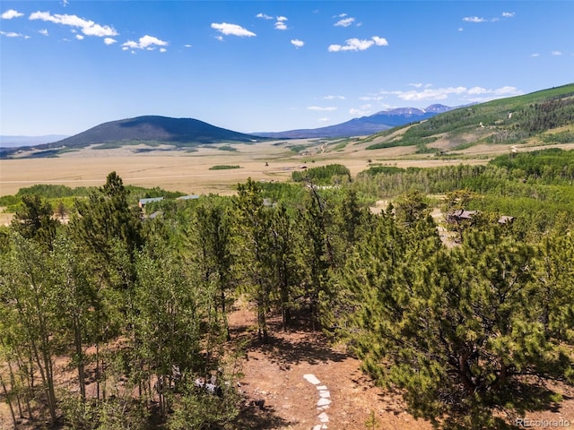 1040 Sheep Ridge Rd, Fairplay, CO 80440 - mountain view