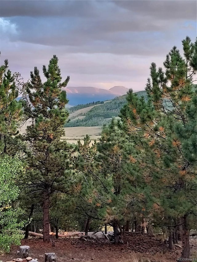 1040 Sheep Ridge Rd, Fairplay, CO 80440 - mountain view