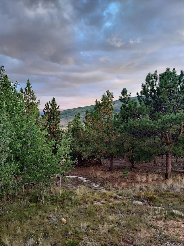 1040 Sheep Ridge Rd, Fairplay, CO 80440 - view of undeveloped land