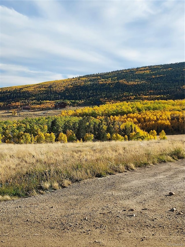 1040 Sheep Ridge Rd, Fairplay, CO 80440 - view of mountain backdrop