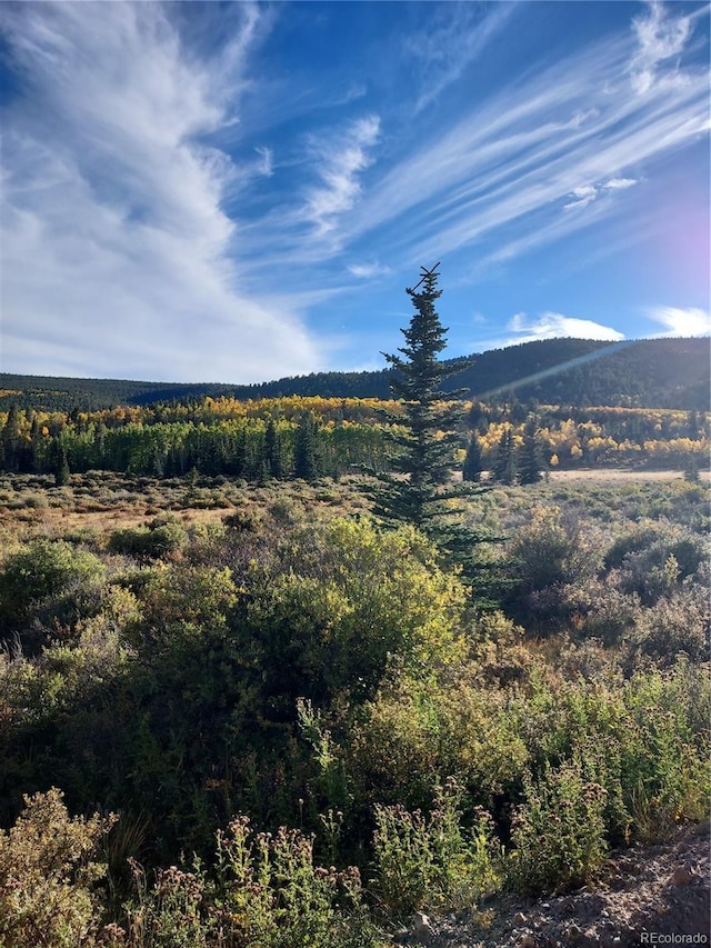 1040 Sheep Ridge Rd, Fairplay, CO 80440 - mountain view