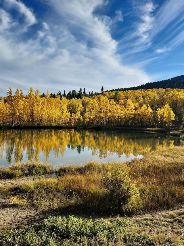 1040 Sheep Ridge Rd, Fairplay, CO 80440 - water view with a heavily wooded area