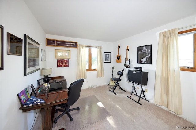 3820 S Harlan St, Denver, CO 80235 - view of carpeted office