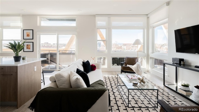 2880 Zuni St Unit 404, Denver, CO 80211 - living room featuring wood finished floors