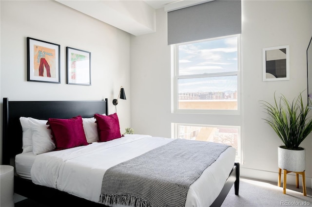 2880 Zuni St Unit 404, Denver, CO 80211 - bedroom with carpet