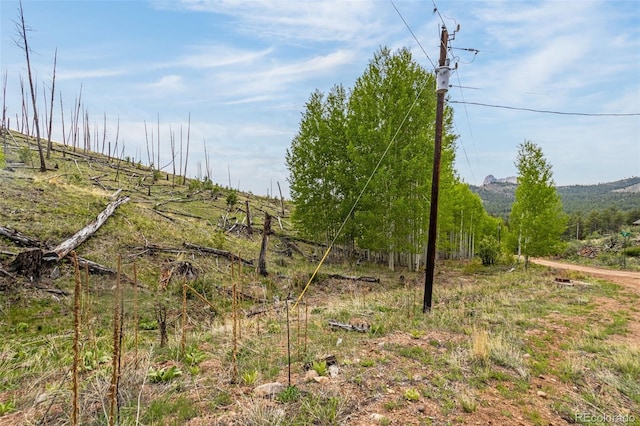 L1B4 Columbine Cir, Woodland Park, CO 80863