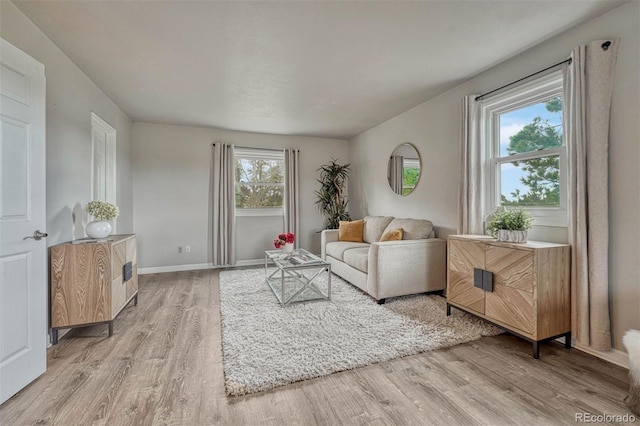 living area featuring baseboards and light wood finished floors