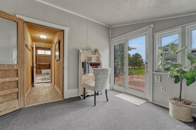 interior space with carpet flooring, a textured ceiling, and ornamental molding