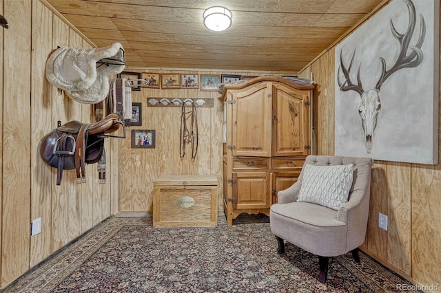 living area featuring wooden walls