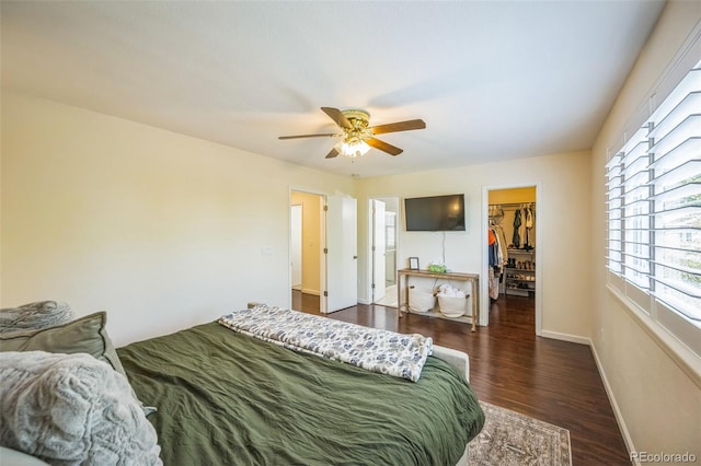 2695 Woodrose Pl, Highlands Ranch, CO 80129 - bedroom featuring a spacious closet, dark wood-type flooring, and a ceiling fan