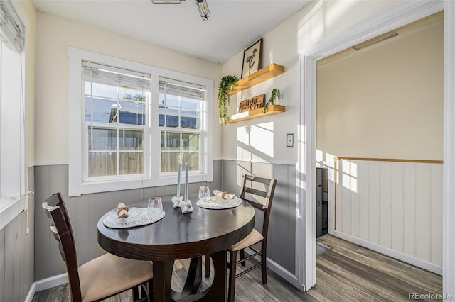 dining room with dark wood-type flooring and a wealth of natural light