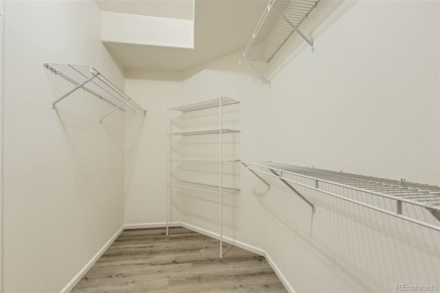 4221 S Blackhawk Cir Unit 7G, Aurora, CO 80014 - spacious closet with light wood-type flooring