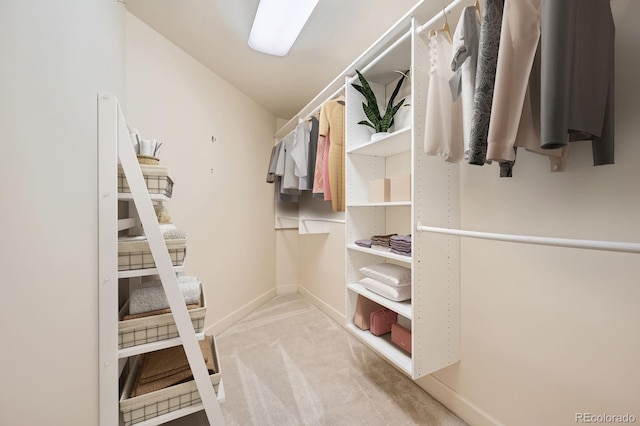 475 W 12th Ave Unit 9A, Denver, CO 80204 - spacious closet featuring light carpet