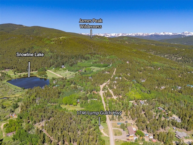 1746 Lump Gulch Rd, Black Hawk, CO 80422 - photo 2