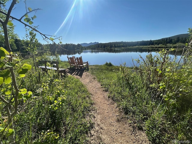 1746 Lump Gulch Rd, Black Hawk, CO 80422 - photo 4