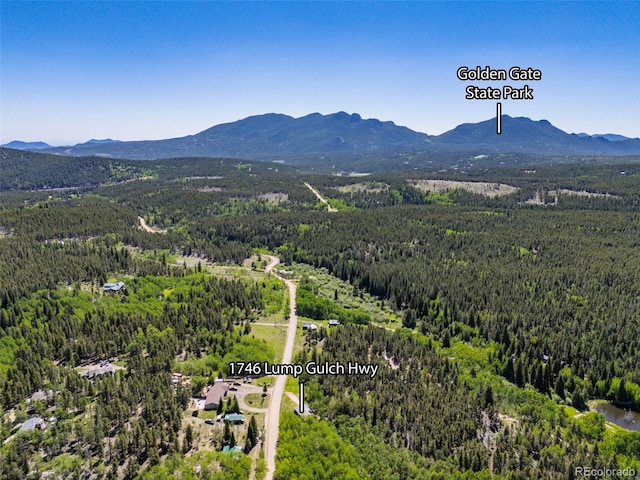 1746 Lump Gulch Rd, Black Hawk, CO 80422 - photo 5