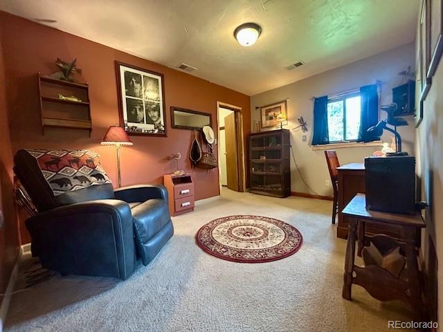 1746 Lump Gulch Rd, Black Hawk, CO 80422 - photo 17