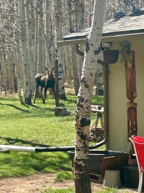 1746 Lump Gulch Rd, Black Hawk, CO 80422 - photo 24