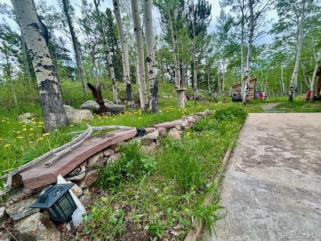1746 Lump Gulch Rd, Black Hawk, CO 80422 - photo 26