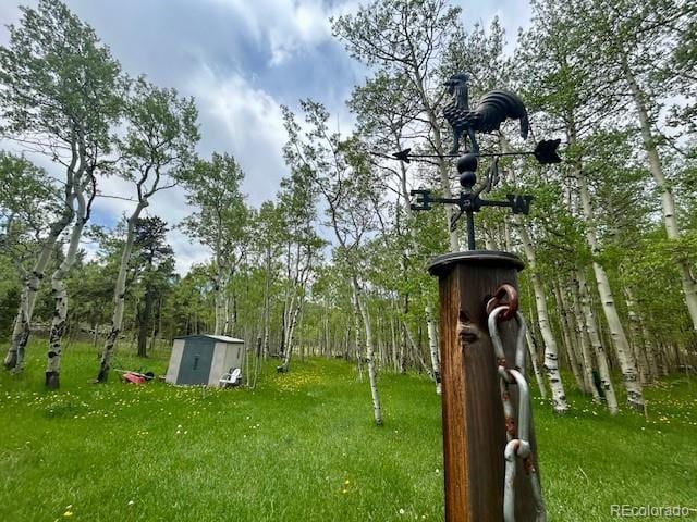 1746 Lump Gulch Rd, Black Hawk, CO 80422 - photo 29