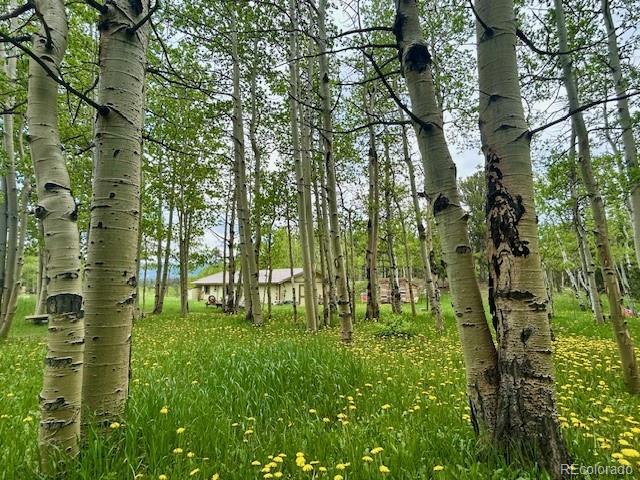 1746 Lump Gulch Rd, Black Hawk, CO 80422 - photo 30