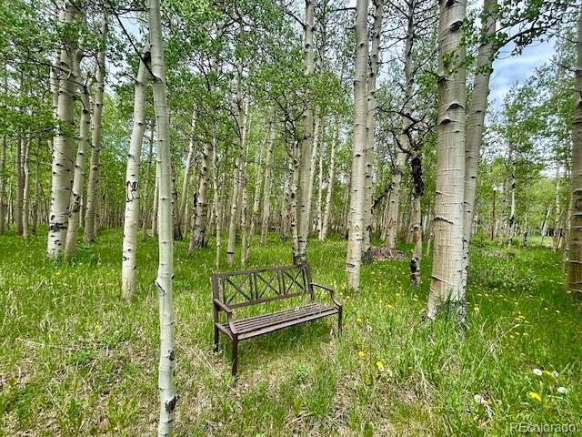 1746 Lump Gulch Rd, Black Hawk, CO 80422 - photo 31