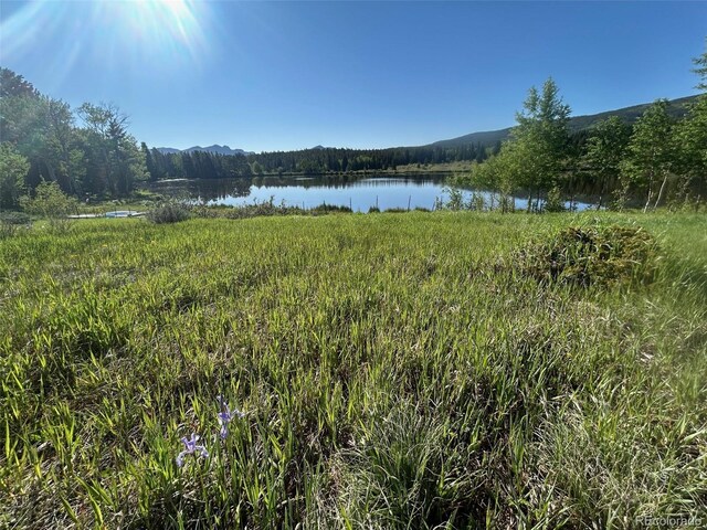 1746 Lump Gulch Rd, Black Hawk, CO 80422 - photo 35