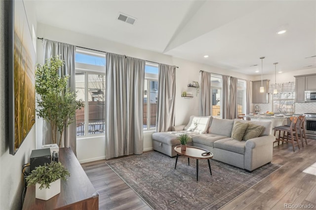 living room with hardwood / wood-style flooring and vaulted ceiling