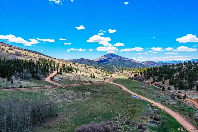 1319 Anges Dr, Cripple Creek CO, 80813 land for sale