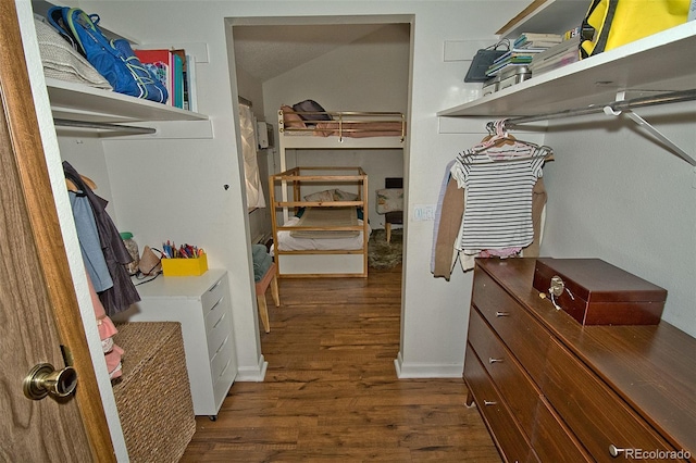 walk in closet with dark hardwood / wood-style flooring