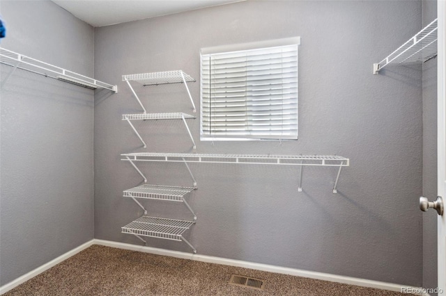 walk in closet featuring carpet floors