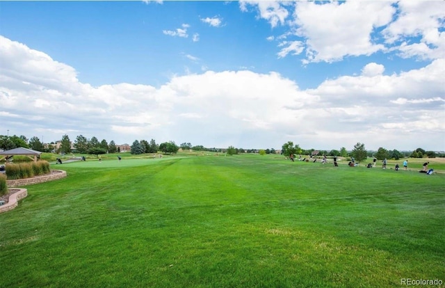 view of community featuring a yard