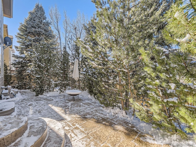 view of yard layered in snow