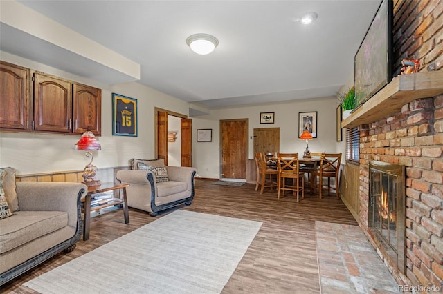 living room featuring a fireplace and light wood-type flooring