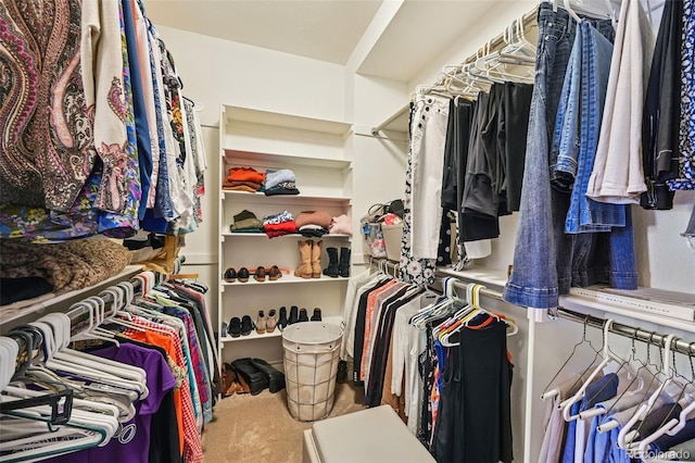 12121 Bryant St, Westminster, CO 80234 - walk in closet with carpet