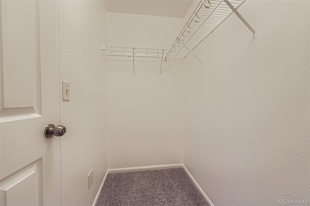 17359 Waterhouse Cir Unit B, Parker, CO 80134 - photo 13