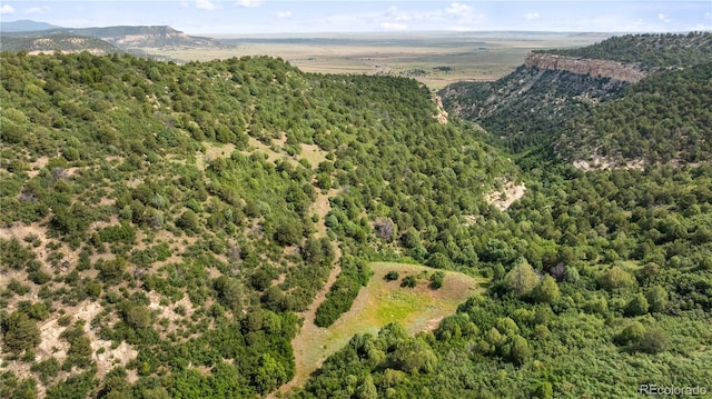 LOTSF Tollerburg Rd, Trinidad, CO 81082 - photo 4