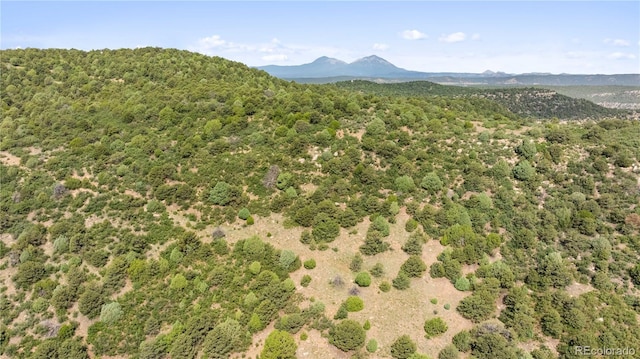 LOTSF Tollerburg Rd, Trinidad, CO 81082 - photo 5
