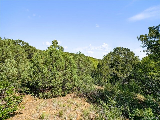 LOTSF Tollerburg Rd, Trinidad, CO 81082 - photo 8