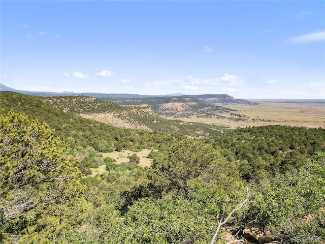 LOTSF Tollerburg Rd, Trinidad, CO 81082 - photo 10