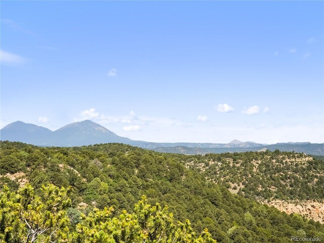 LOTSF Tollerburg Rd, Trinidad, CO 81082 - photo 11