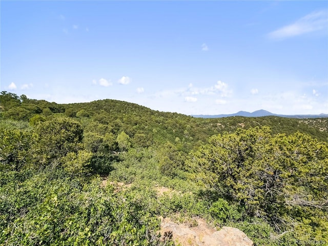 LOTSF Tollerburg Rd, Trinidad, CO 81082 - photo 12