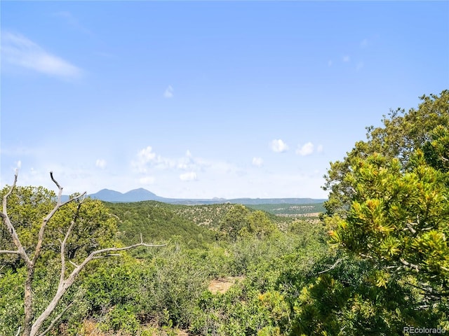 LOTSF Tollerburg Rd, Trinidad, CO 81082 - photo 14