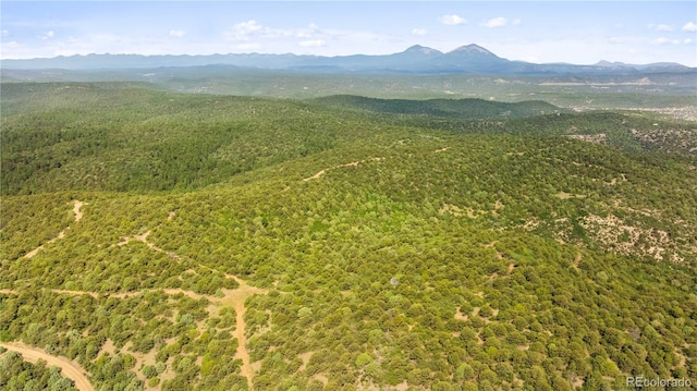 LOTSF Tollerburg Rd, Trinidad, CO 81082 - photo 15