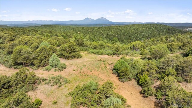 LOTSF Tollerburg Rd, Trinidad, CO 81082 - photo 16